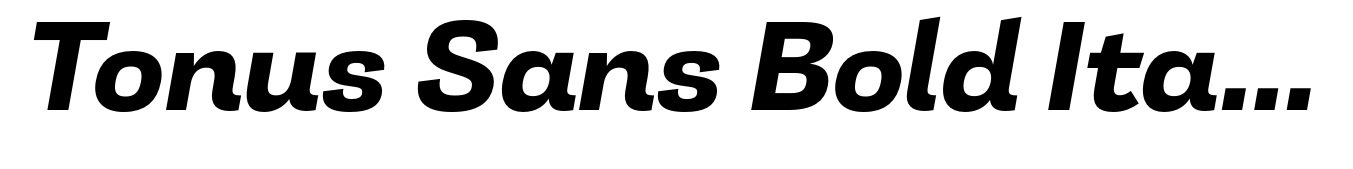 Tonus Sans Bold Italic